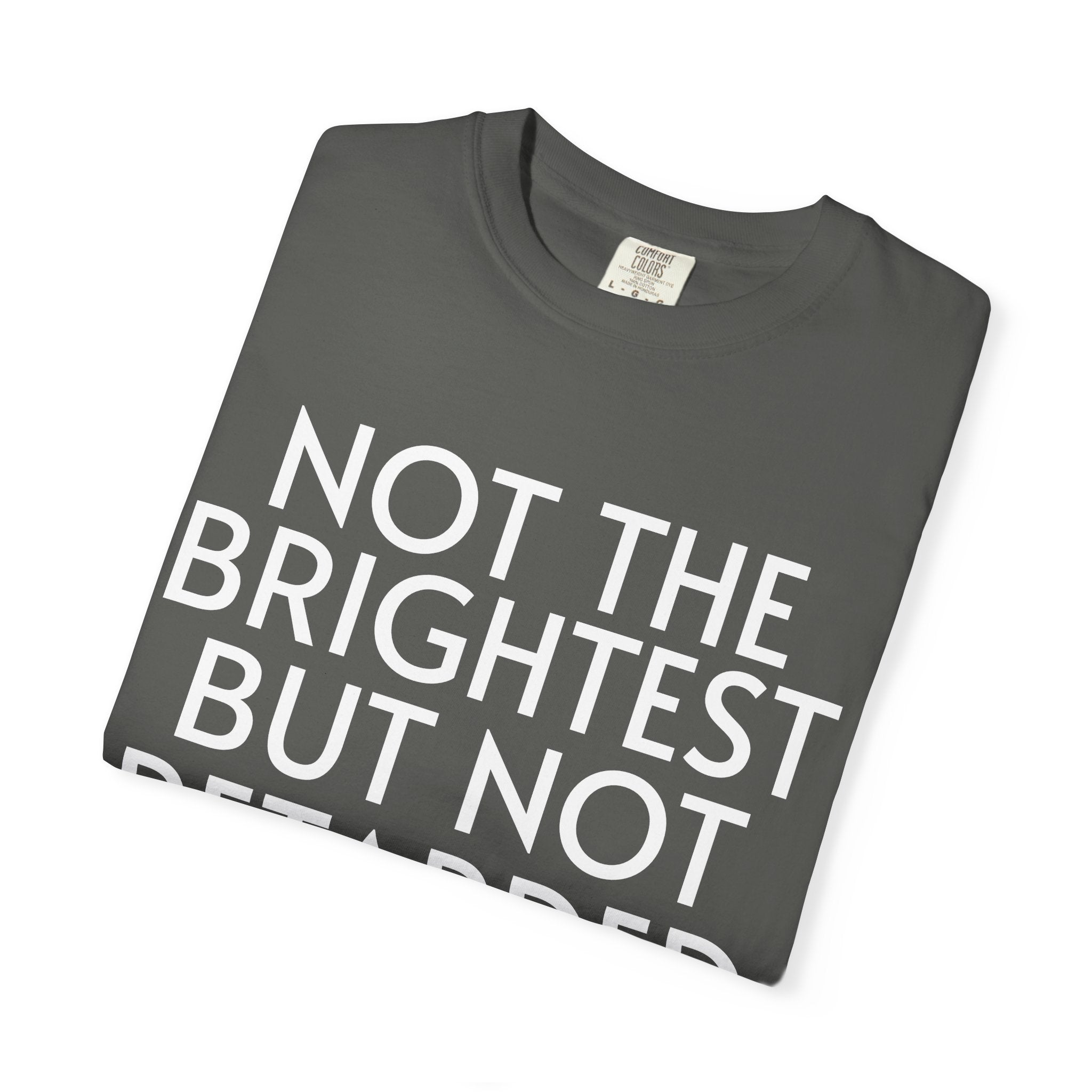 Not the Brightest T-Shirt — Funny Graphic Tee